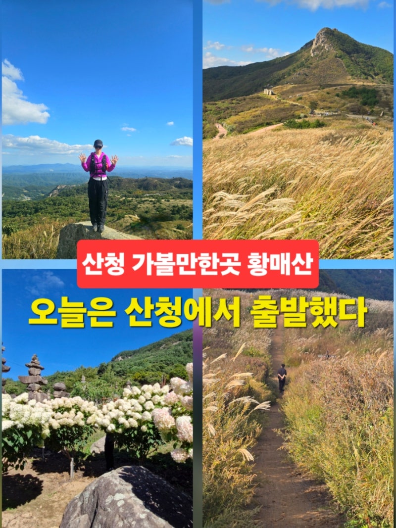 경남 산청 가볼만한곳 황매산 억새군락지 산청 여행