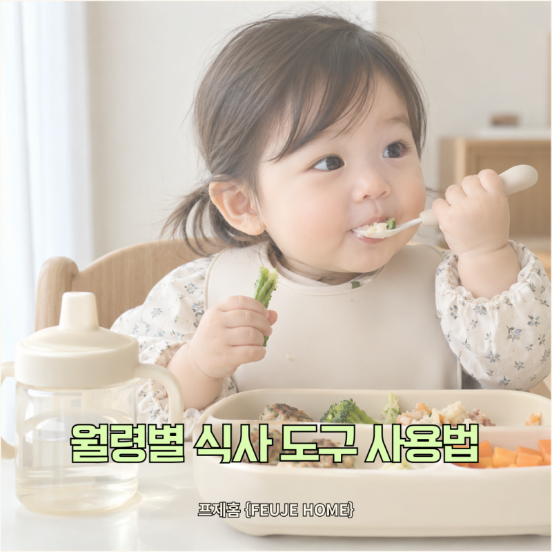 아기 식사도구 언제부터?월령별 숟가락 포크 컵 사용 시기