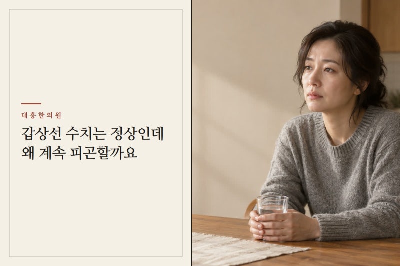 갑상선 수치는 정상인데 왜 계속 피곤할까요 — 정상 수치 뒤에 남는 피로·빈혈·잠의 문제