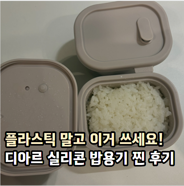 플라스틱 용기말고 이거 쓰세요! 디아르 실리콘 밥용기 200ml 내돈내산 찐후기