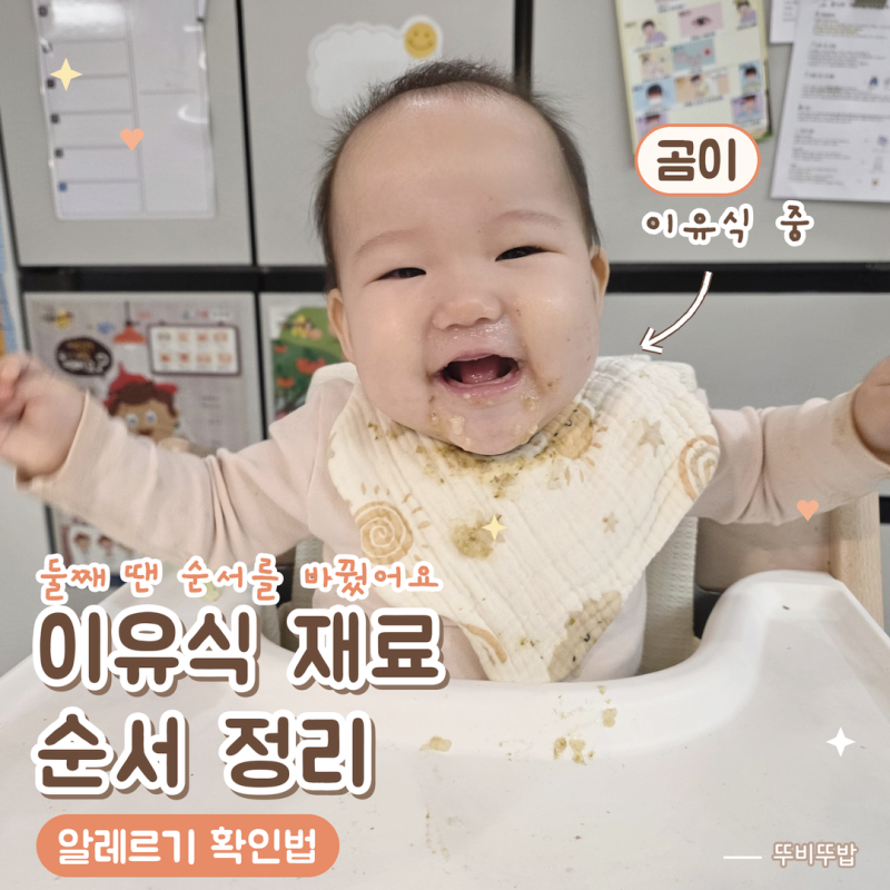 이유식 뭐부터 먹이나요? 순서 꼬여서 진땀 뺐던 엄마의 초기 알레르기 재료 싹 정리