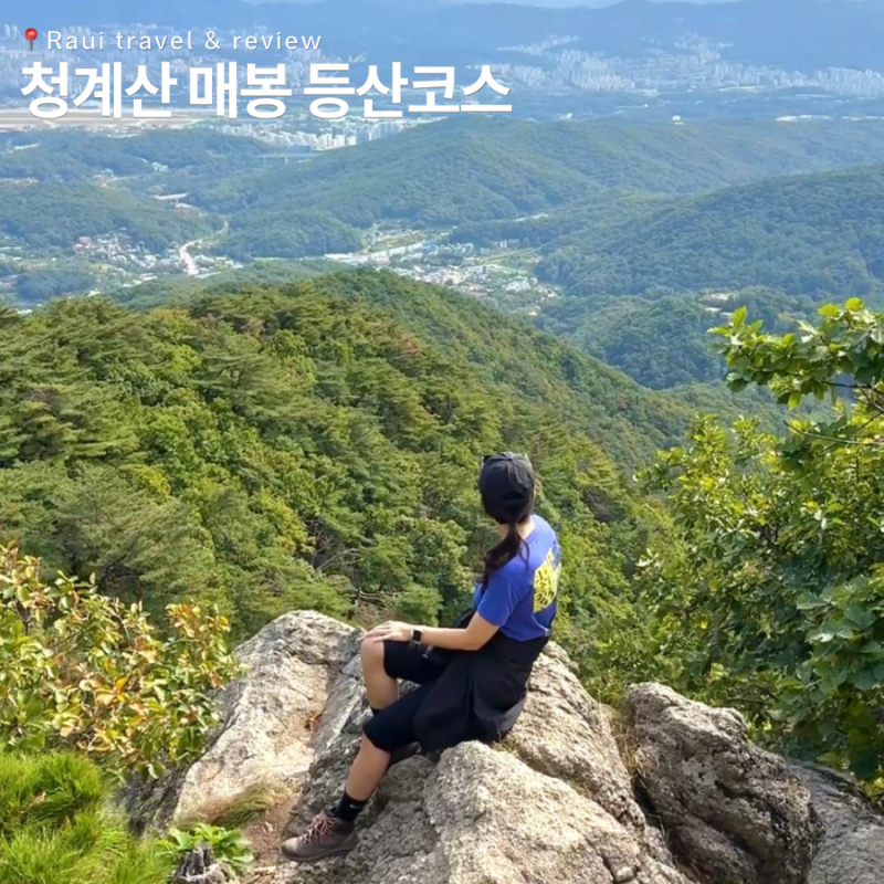 청계산 등산코스 매봉 한국 100대 명산 서울산 추천