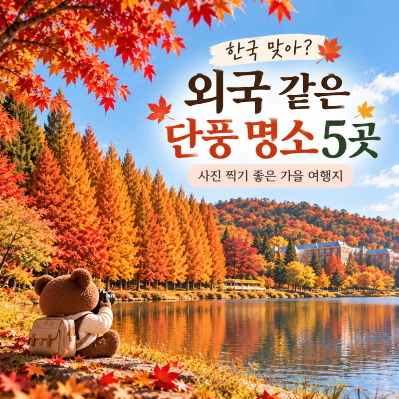 한국 맞아? 외국 같은 단풍 명소 5곳｜사진 찍기 좋은 가을 여행지