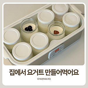 요거트메이커 추천 키친아트 내돈내산 후기 | 사용법 비율 시간