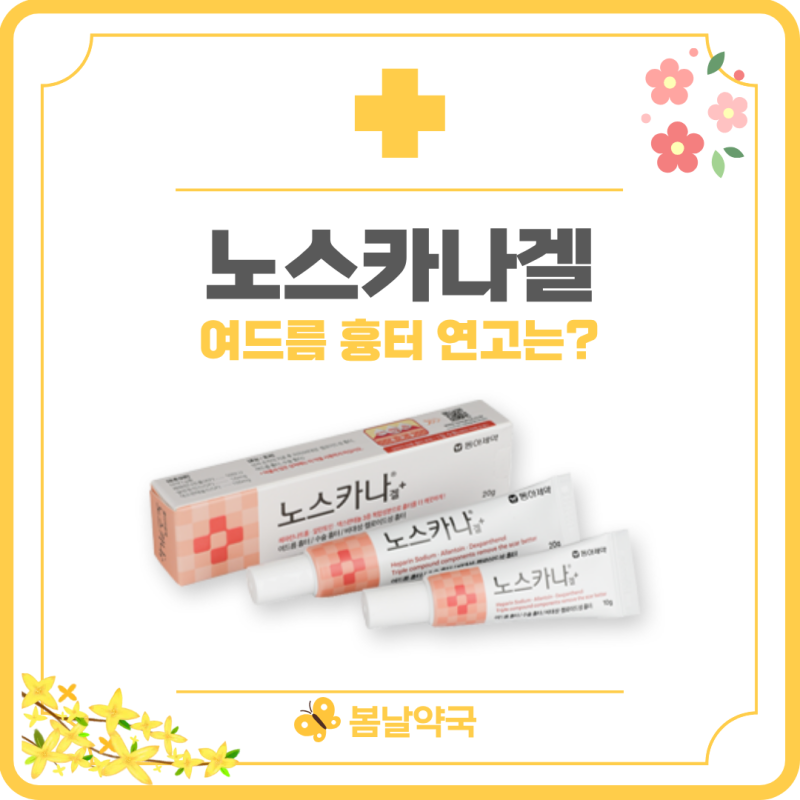 여드름 압출 후 노스카나겔, 언제부터 발라야 할까요? | 평택지제약국 여드름 흉터연고