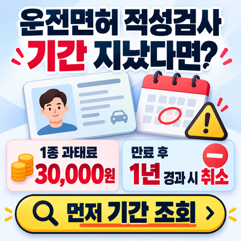 운전면허 적성검사 기간 경과｜과태료·지난 경우·조회방법 정리