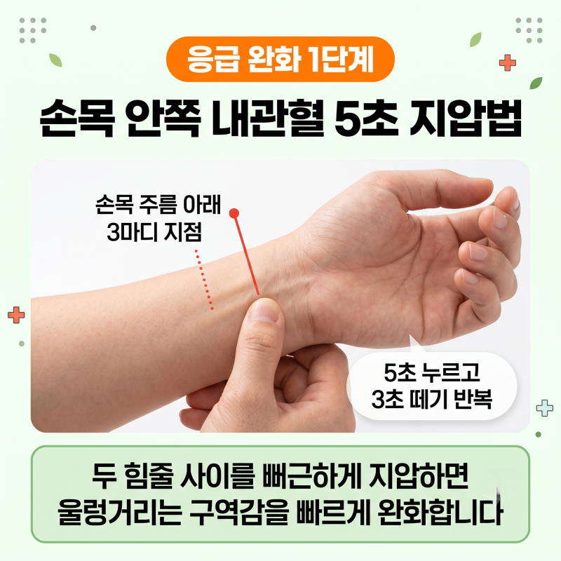 속이 울렁거릴때 원인 5가지 어지러움 미식거림 증상별 대처법