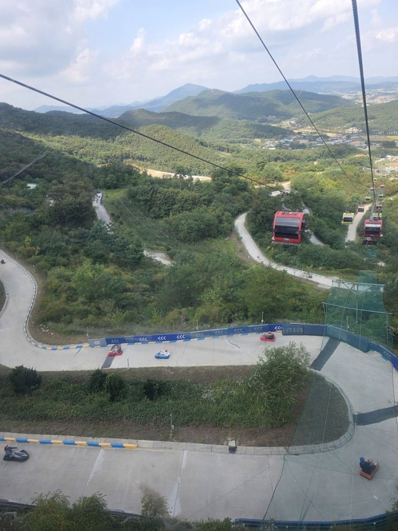 2026 강화도 루지 직접 타보니 3회권이 딱 좋았다, 1.8km 코스·가격·20% 할인 후기