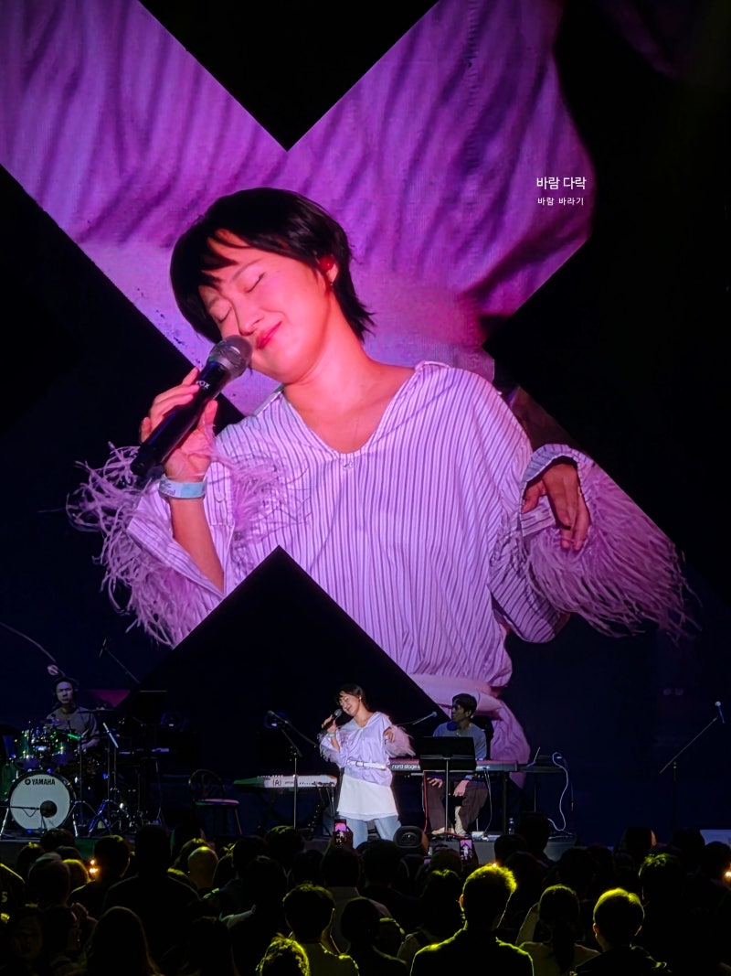 2026 ACC X Music Festival (1) 소 퍼커션(Sō Percussion), 선우정아 공연 후기