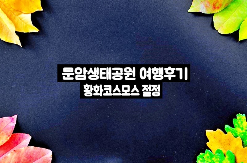 [청주 가볼만한곳] 문암생태공원 황화코스모스 만개! 둘레길 산책 코스부터 근처 맛집(올갱....