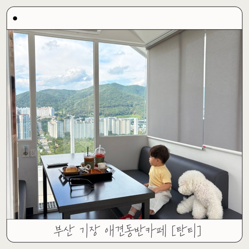 기장 애견동반 카페 탄티｜아이와 강아지 함께 가기 좋은 부산 대형 베이커리 카페