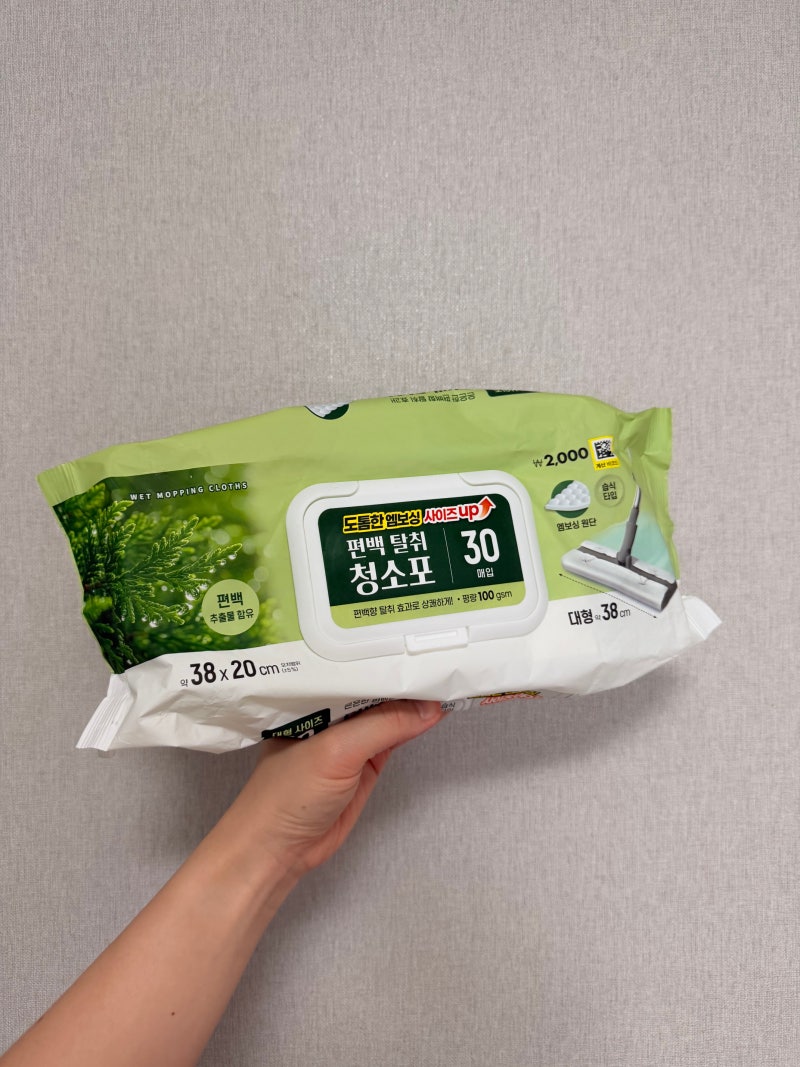자취 10년차 다이소 청소템 추천 1인가구가 잘 쓰는 가성비템 3가지