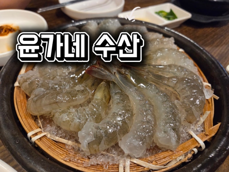 [대구 칠성동 맛집] 싱싱함에 반하고 온 방문 후기! 생새우회 맛집 ‘윤가네수산’