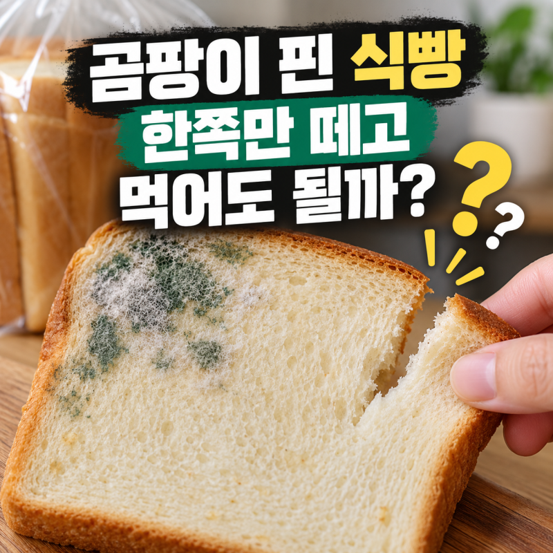 곰팡이 핀 식빵 한쪽만 떼고 먹어도 될까