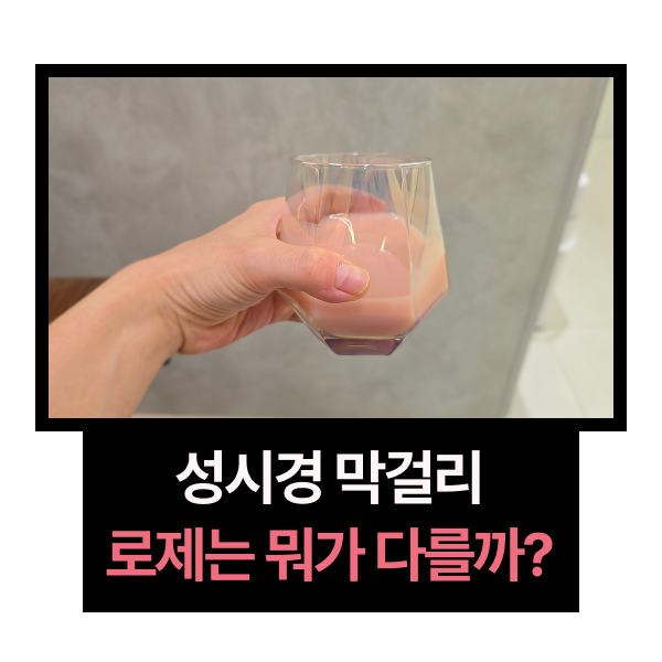 성시경 막걸리 경탁주 12도·로제 12도 비교 후기, 얼음 넣어 마셔보니