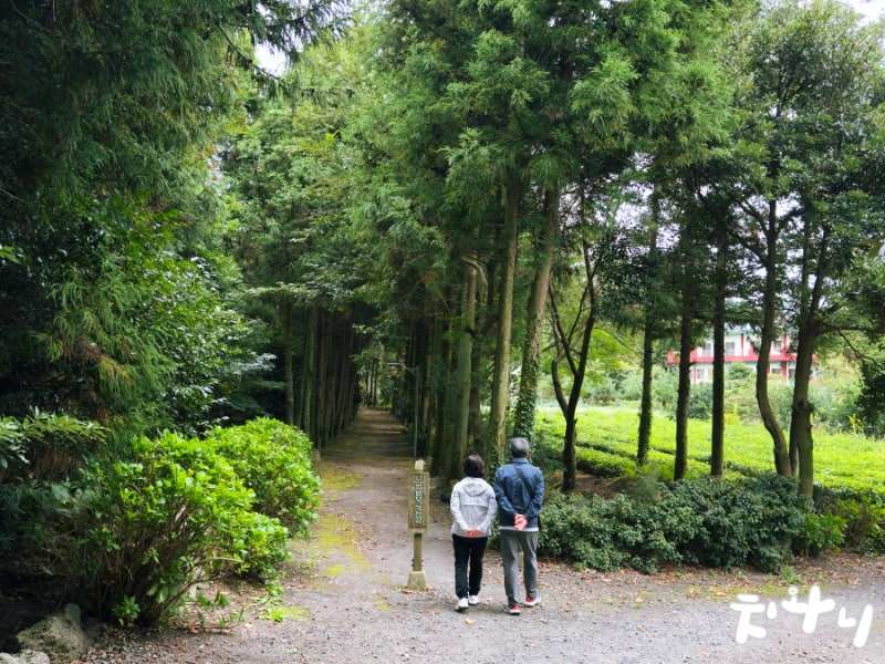 제주공항근처 가볼만한곳 제주시 볼거리 남국사 제주시내 사찰 절 입장료 입장시간 주차장