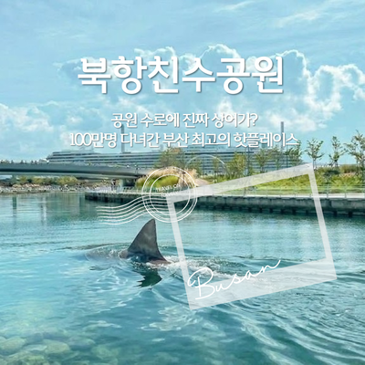 부산이 지금 들썩이는 이유! 북항친수공원 수로에 나타난 상어 부캉이 정체는?