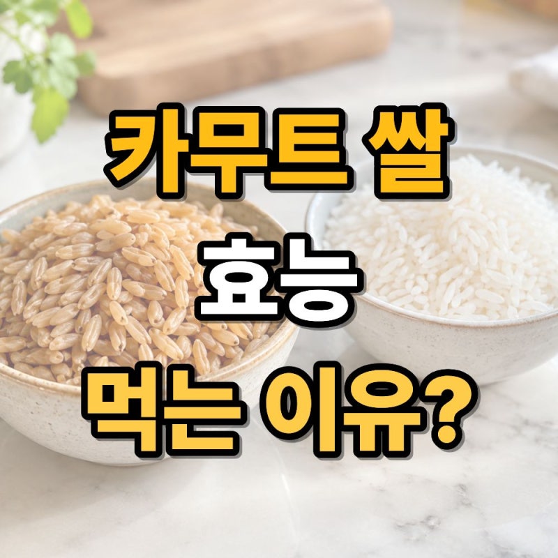 카무트쌀 효능 7가지, 영양성분과 먹는 법까지 정리