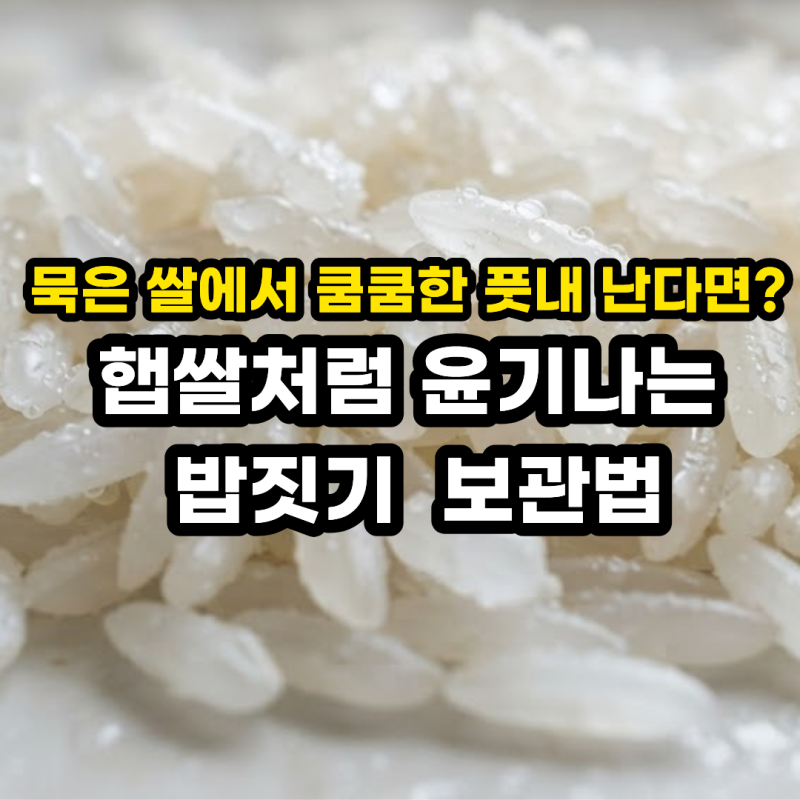 묵은 쌀 냄새 제거 & 살리는 방법! 버리는 방법 판별법 및 활용법 꿀팁