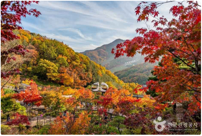 화담숲, 곤지암 루지360 하루에 다녀오기｜서울 근교 당일치기 가족여행 코스