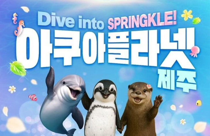 제주 아쿠아플라넷 입장권 할인 가격 공연시간