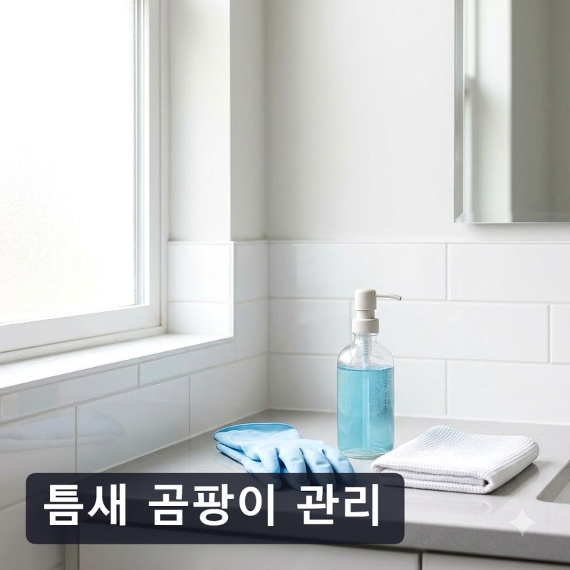 욕실 곰팡이 락스젤, 3시간 방치로 실리콘 얼룩 없앤 사용 방법