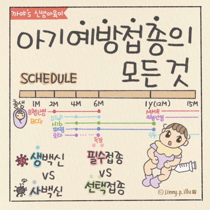 신생아 2개월 6개월 돌 아기 예방접종 일정 총정리- 접종 기한 종류