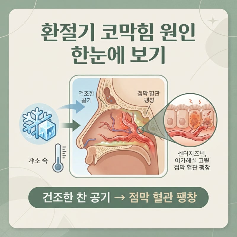 환절기 코 답답할 때 챙기는 비염에 좋은 음식