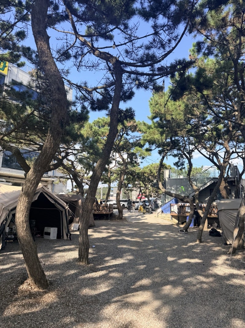 인천 영종도 왕산 을왕리 솔트캠핑장 후기｜개천절 연휴 우중캠핑, 깨끗한 시설과 친절한 사....