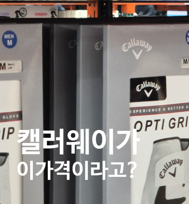 코스트코 골프장갑 개당 7천원대라고요? 라운딩 앞두고 가격표 다시 본 3가지