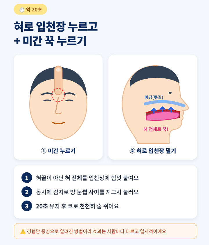 환절기 코막힘 뚫는 법, 약 없이 5초 만에 완화하는 꿀팁 (근거까지 정리)