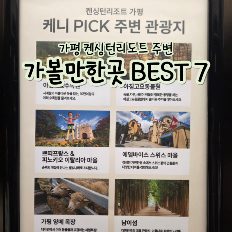 [가평 2박 3일] 가평 가볼만한곳 추천 | 켄싱턴리조트 주변 관광지 (아침고요수목원/동물원•....