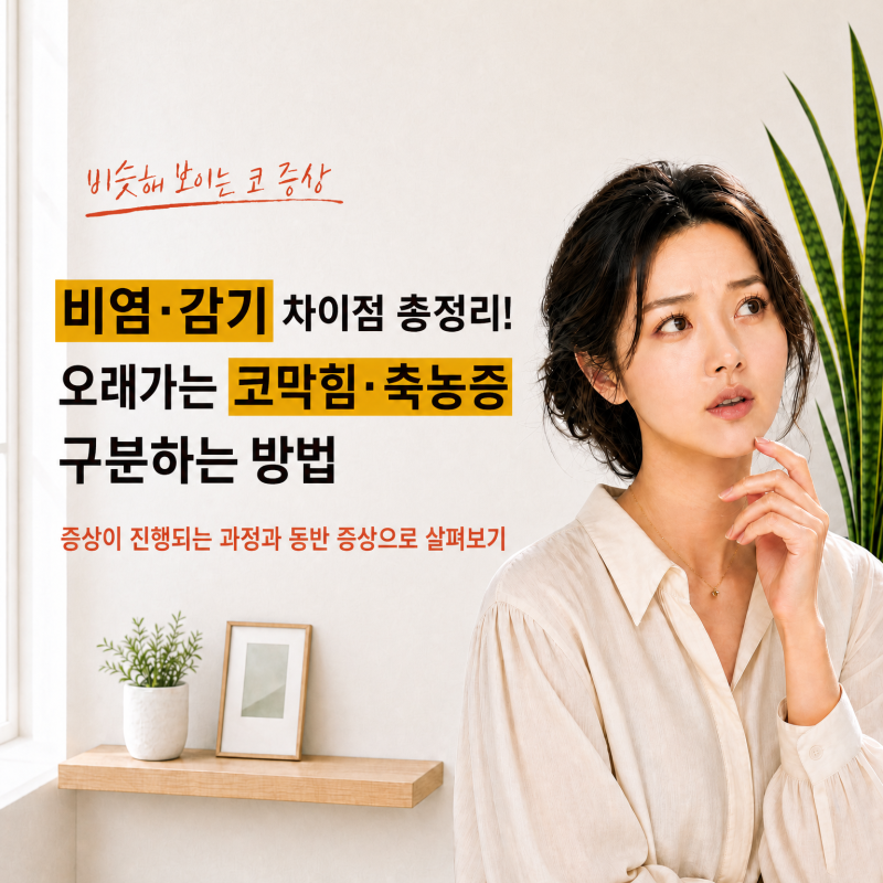 비염·감기 차이점 총정리! 오래가는 코막힘·축농증 구분하는 방법