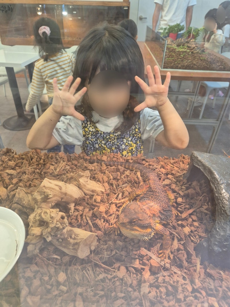 창원 아이와 가볼만한곳 상남동 이색카페 파충류샵티라노