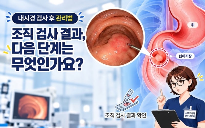 암! "내시경 후 십이지장 선종 판정받았다면? 당황하지 말고 이것부터 확인하세요"