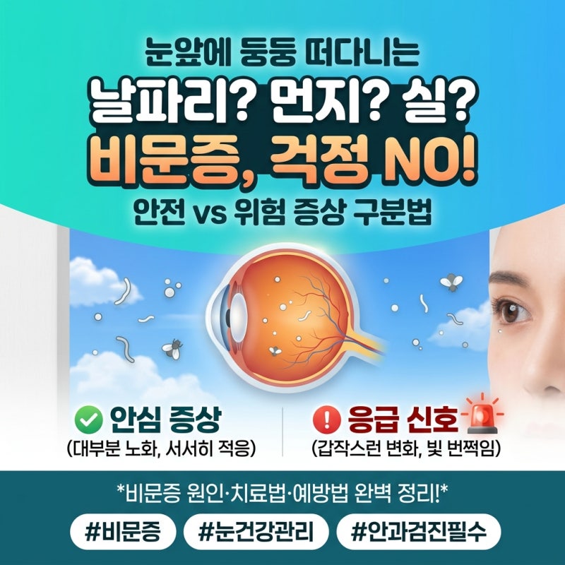 비문증 원인부터 YAG 레이저·유리체절제술 비교까지! 안과 검진이 필요한 순간