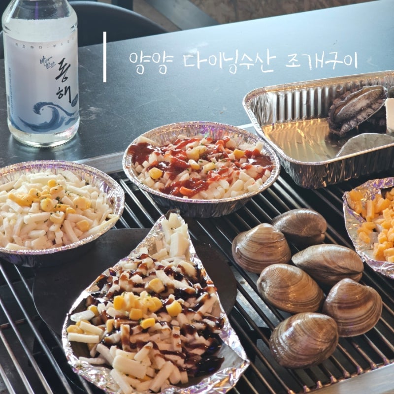 양양 낙산사맛집 다이닝수산 양양본점 모듬조개구이