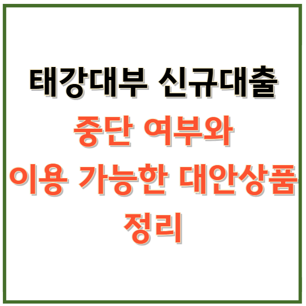 태강대부 신규대출 중단 여부와 이용 가능한 대안상품 정리