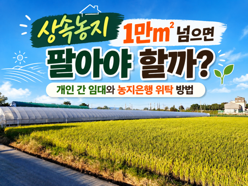 상속받은 농지 1만㎡ 넘으면 팔아야 할까? 소유상한 초과시 개인 간 임대와 농지은행 위탁 방....