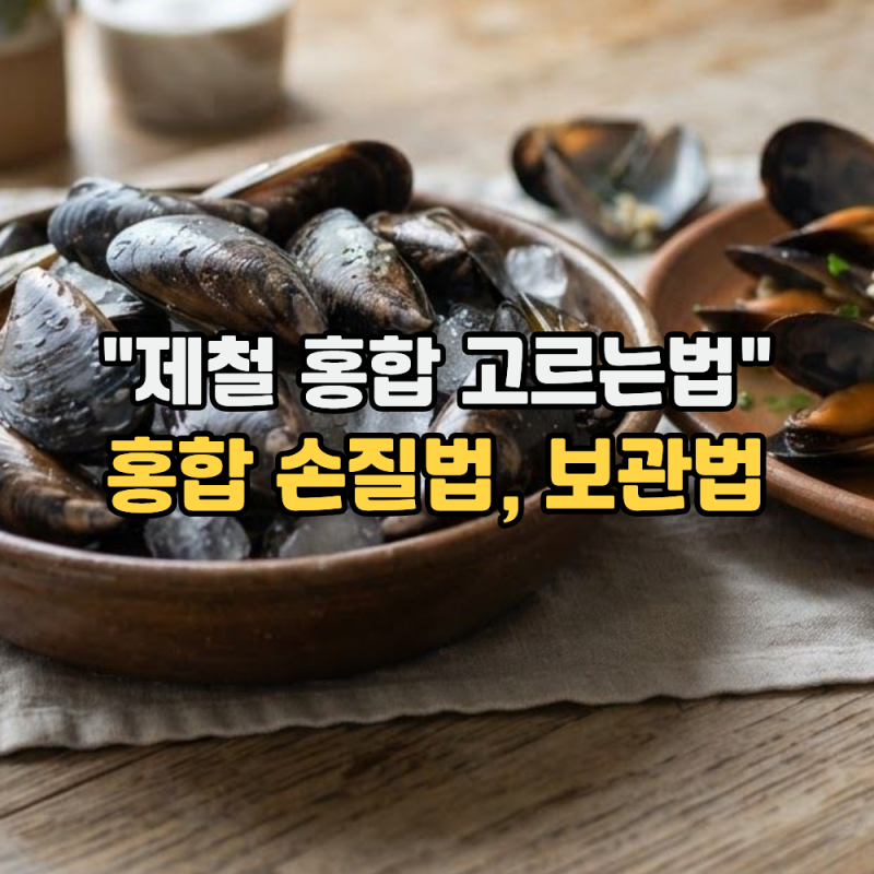 홍합 보관법과 고르는 법 그리고 손질 방법 "찬 바람 불기 시작하면 제철"