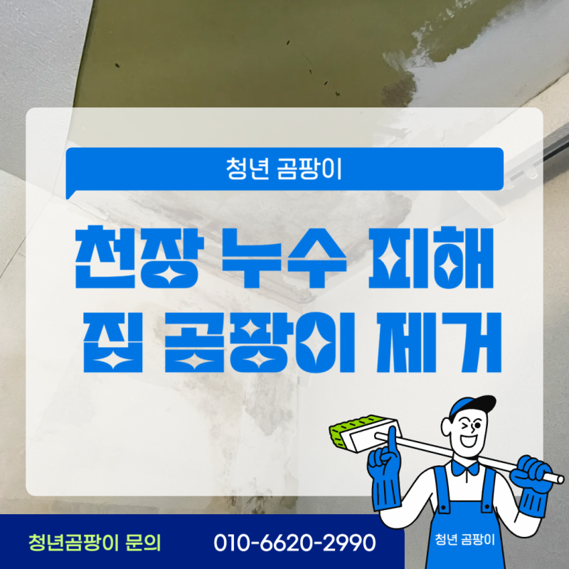 천장 곰팡이 제거 누수 피해 후 확인해야 할 것