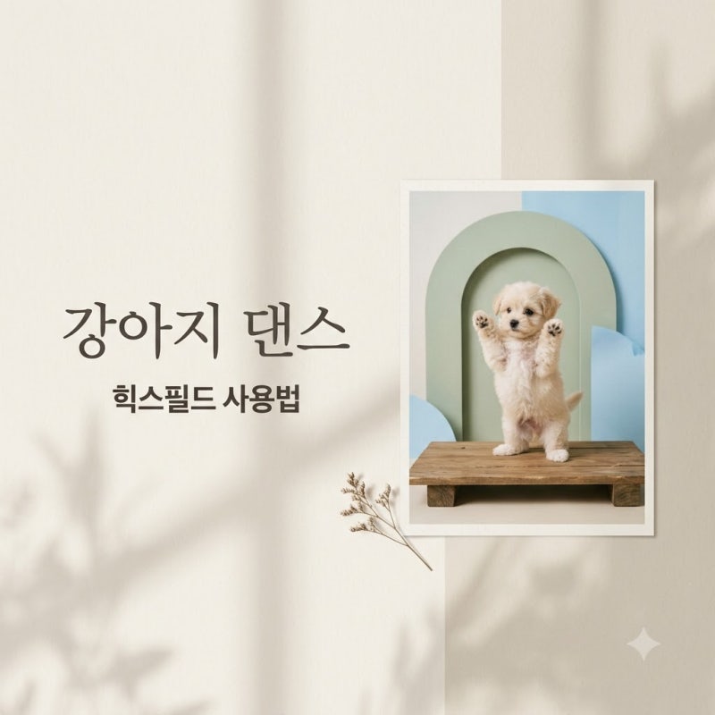 힉스필드 강아지 비욘세 댄스 숏폼 제작 Genjutsu 사용법과 구글 Flow 대체법