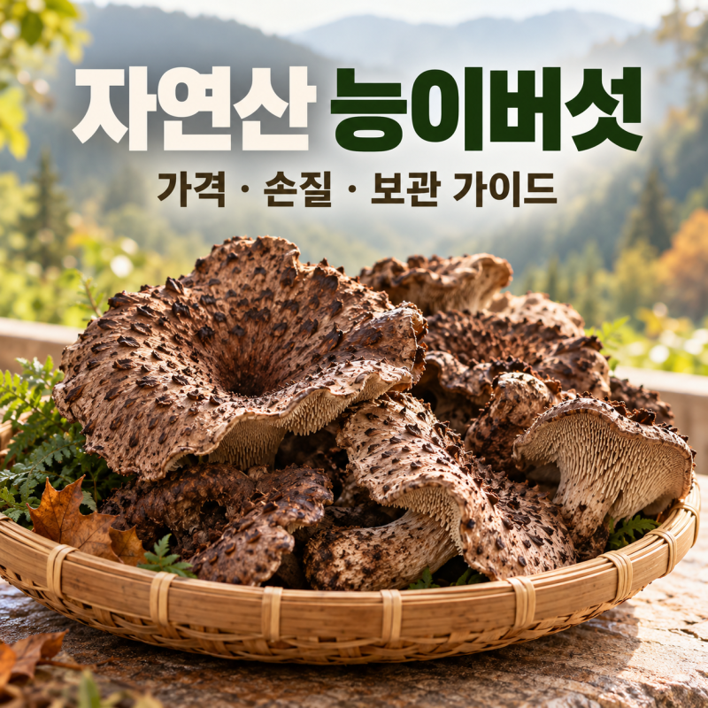 자연산 능이버섯 1kg 가격비교, 손질·보관은 어떻게 할까요