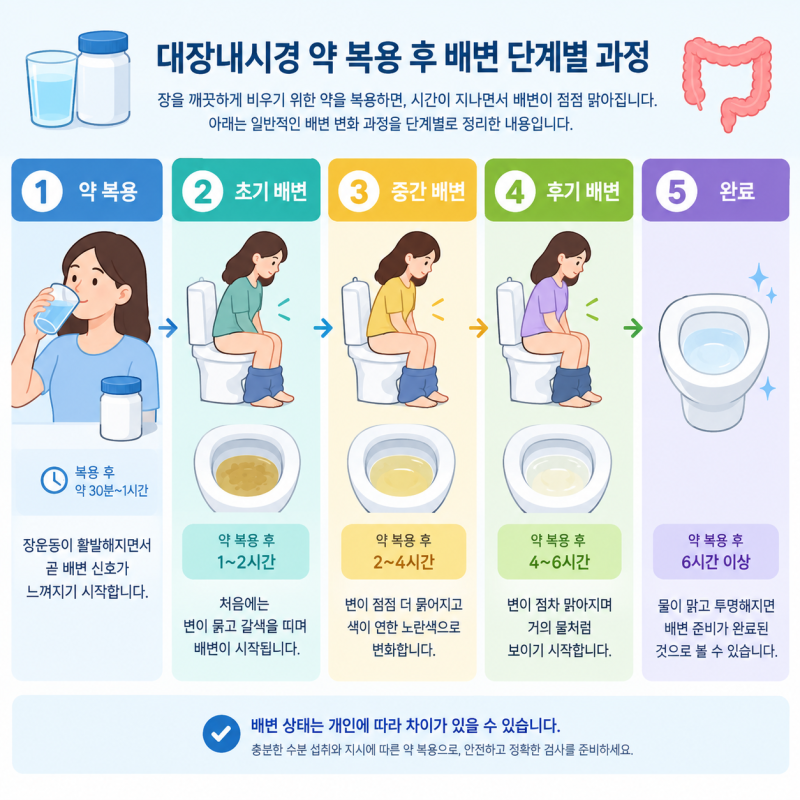 대장내시경 약 복용 후 배변 신호 언제 올까? 시간대별 배변 과정과 대변 색깔 판독법