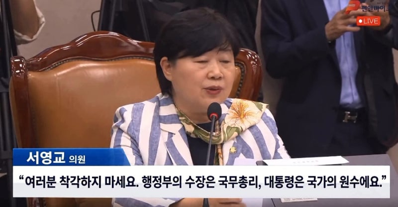 행정부의 수장이 국무총리? 서영교의 국가원수론