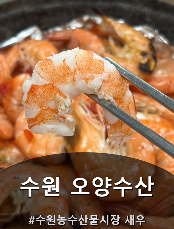 수원 농수산물시장 새우 오양수산 후기, 활새우 1kg 소금구이 먹고 온 날