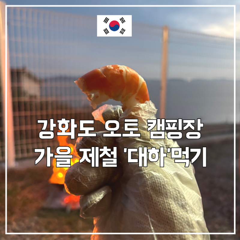 강화도 오토 소풍 캠핑장, 노을뷰 바라보며 대하 먹은 후기