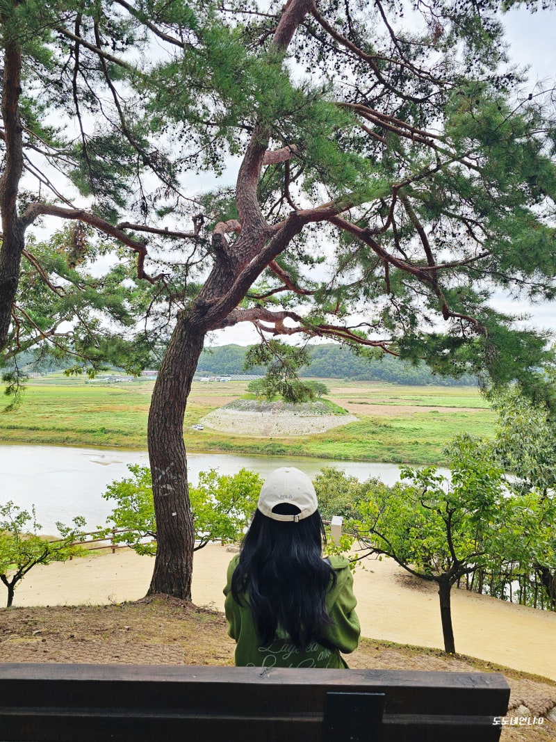 [안동여행] 안동 도산서원 - 단풍 가을 여행지 추천