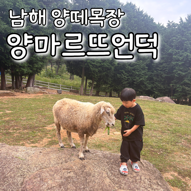 남해 양떼목장 양마르뜨언덕, 5살 아이와 다녀온 남해 여행