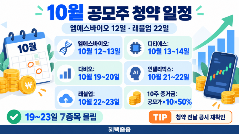 10월 공모주 청약 일정, 엠에스바이오 12일·래블업 22일